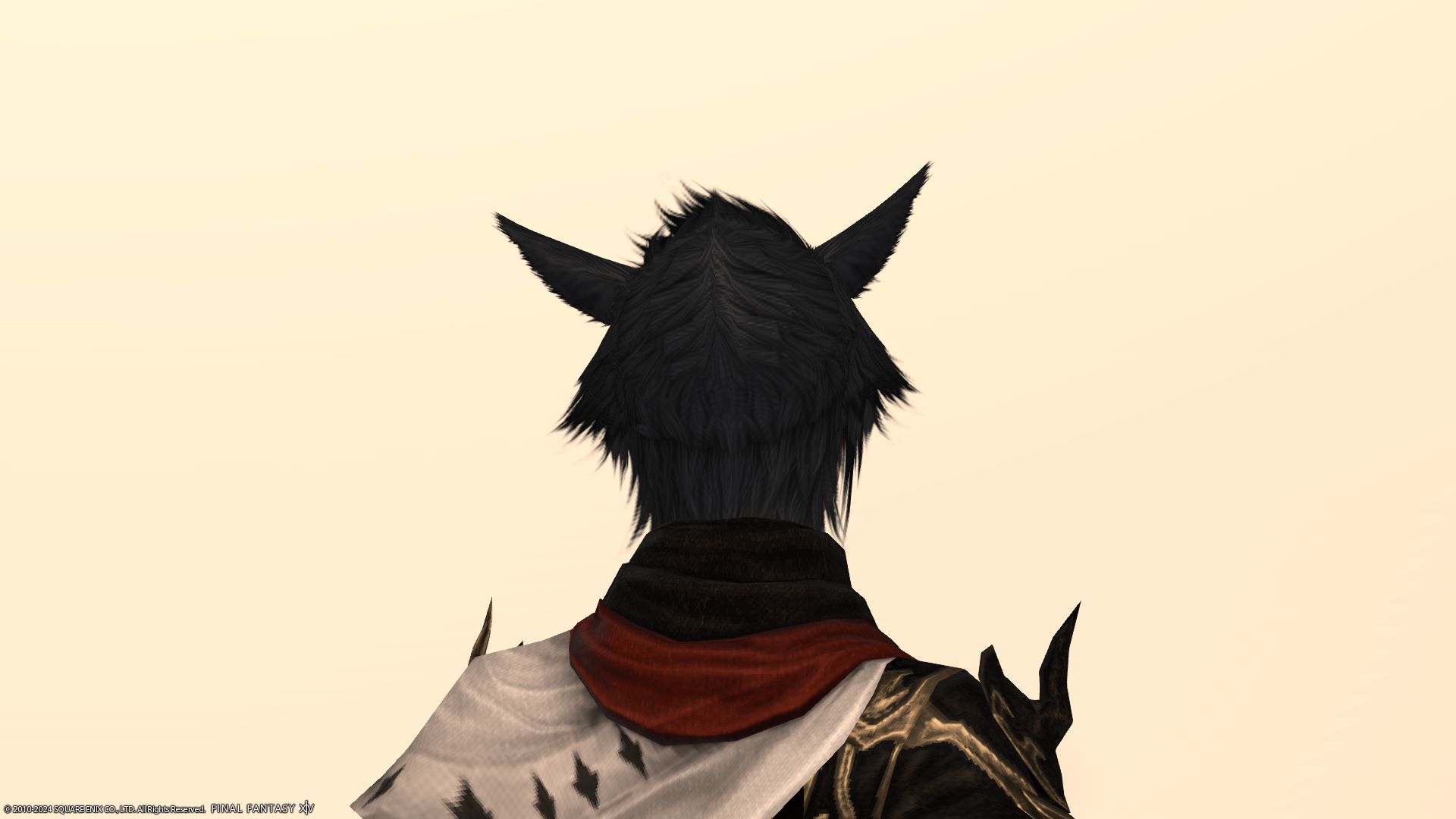 ノクティス後ろ