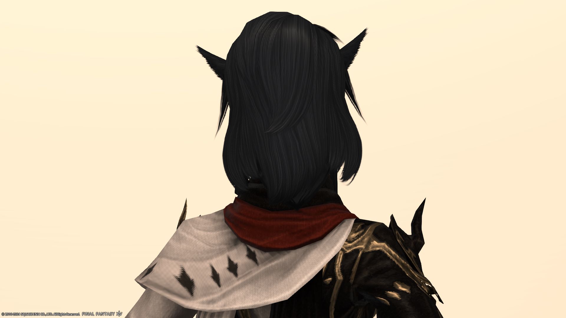 ギラバニアンブレイド後ろ