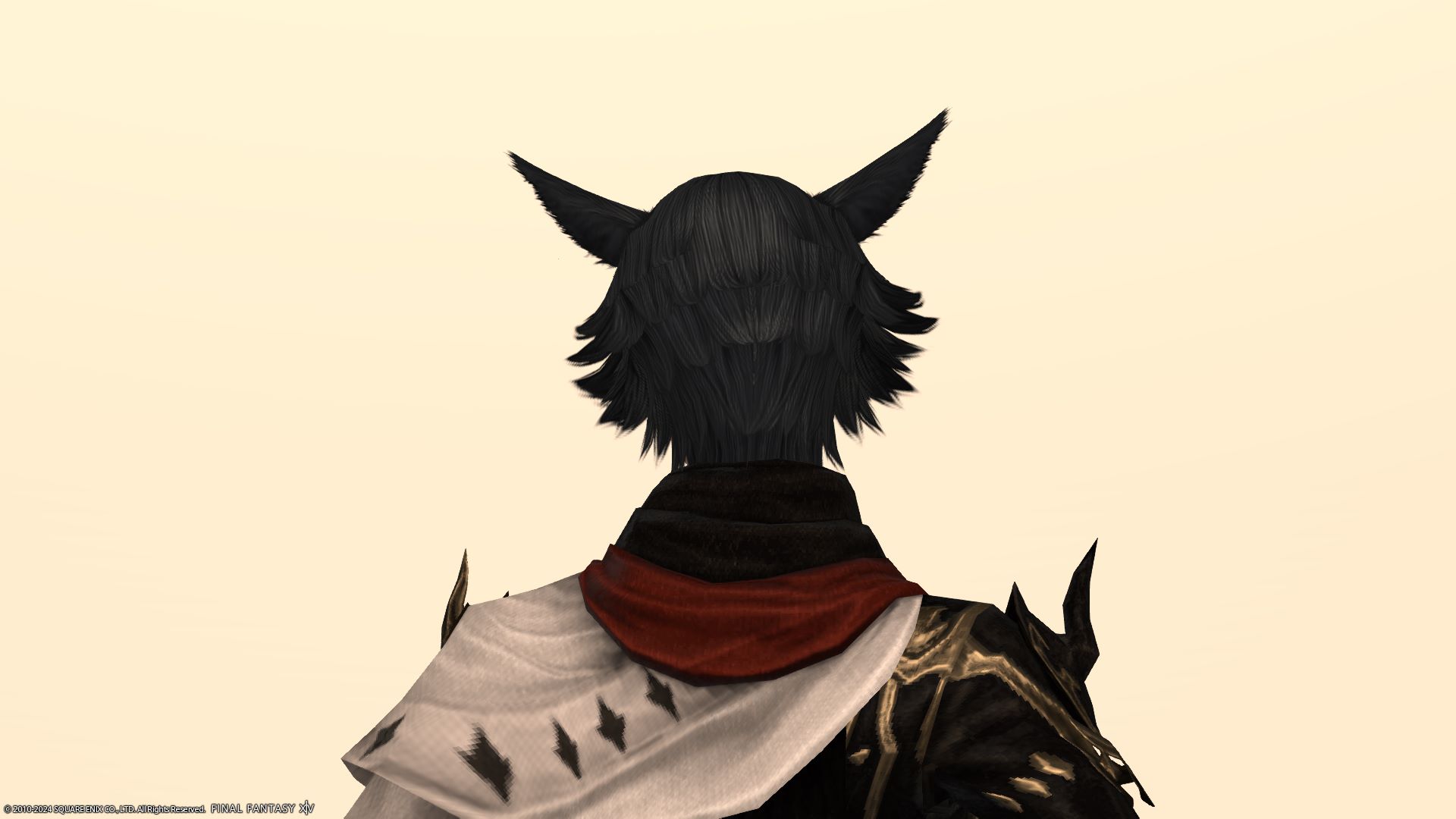 フェザーヘア後ろ