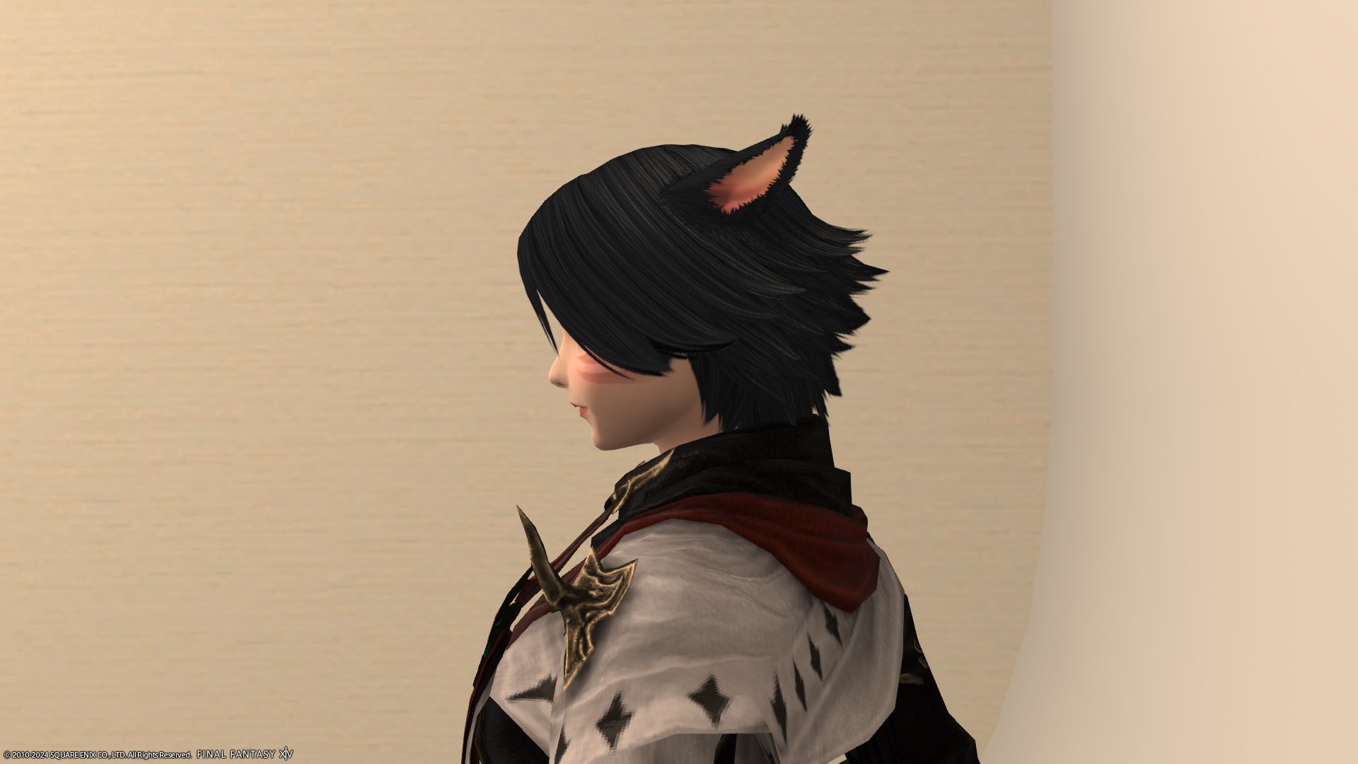 フェザーヘア左