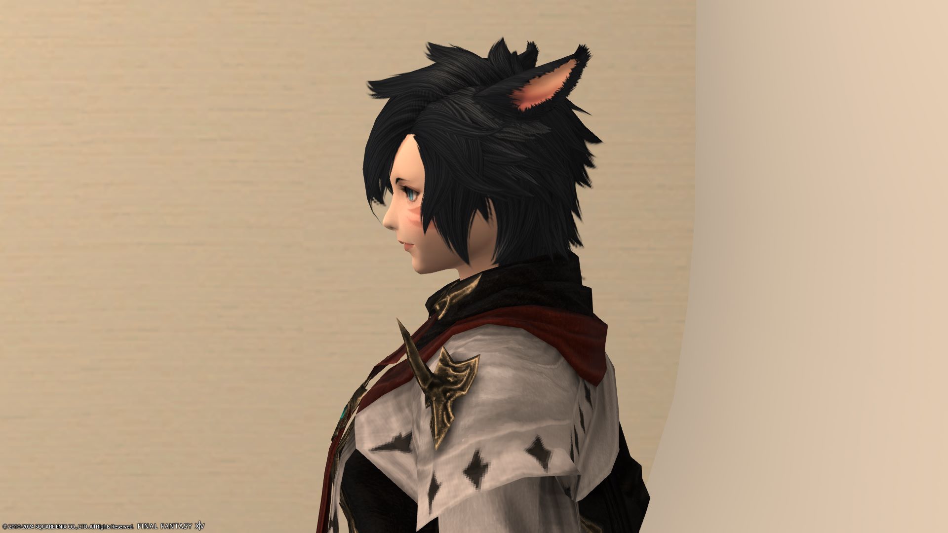 マーセナリー左