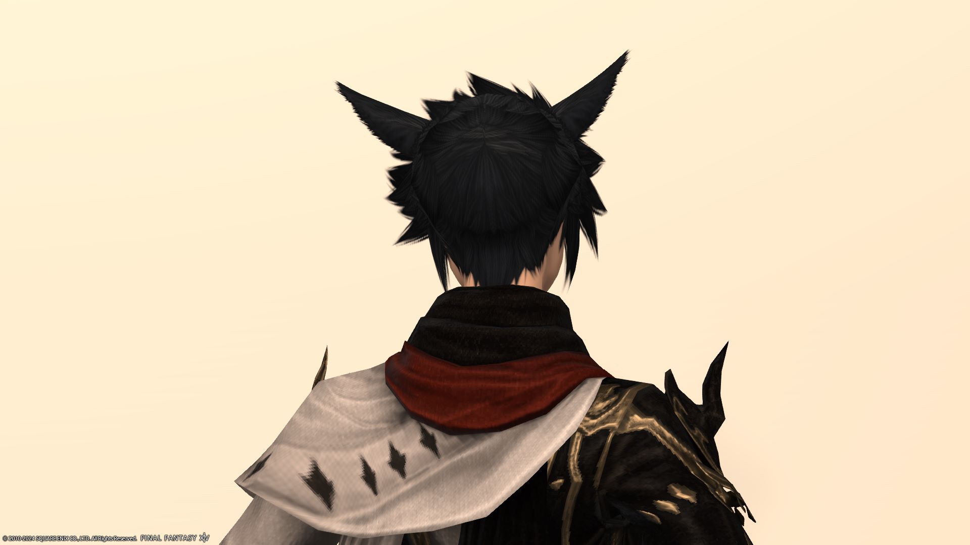 レジェンド後ろ