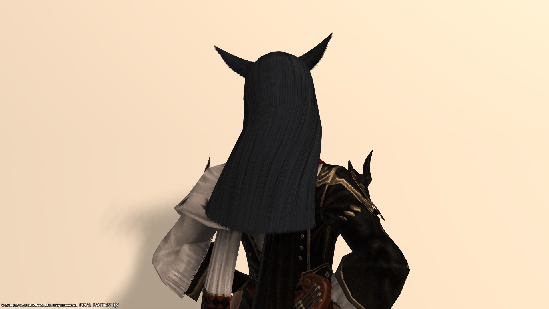 ロングヘア後ろ