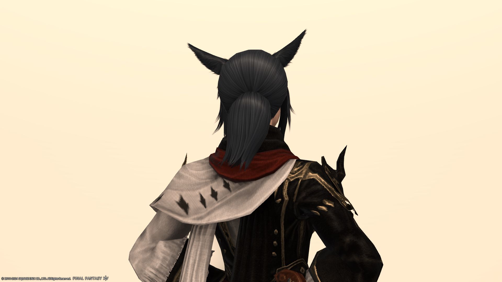 ポニーテール後ろ