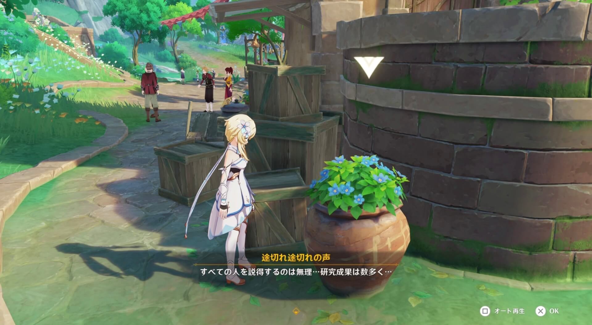 家の裏側にある鉢植えの中