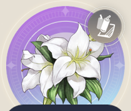 ブライドラブフラワーの画像