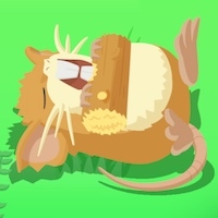 ラッタの星3寝顔画像