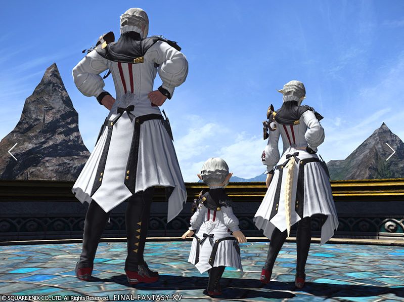 サイオンズヒーラー後ろ