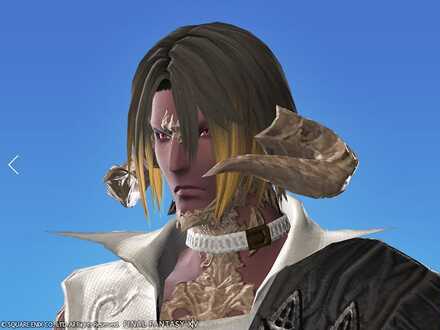 サイオンズローグの画像