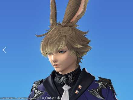 シャーレアンプロディジーの画像