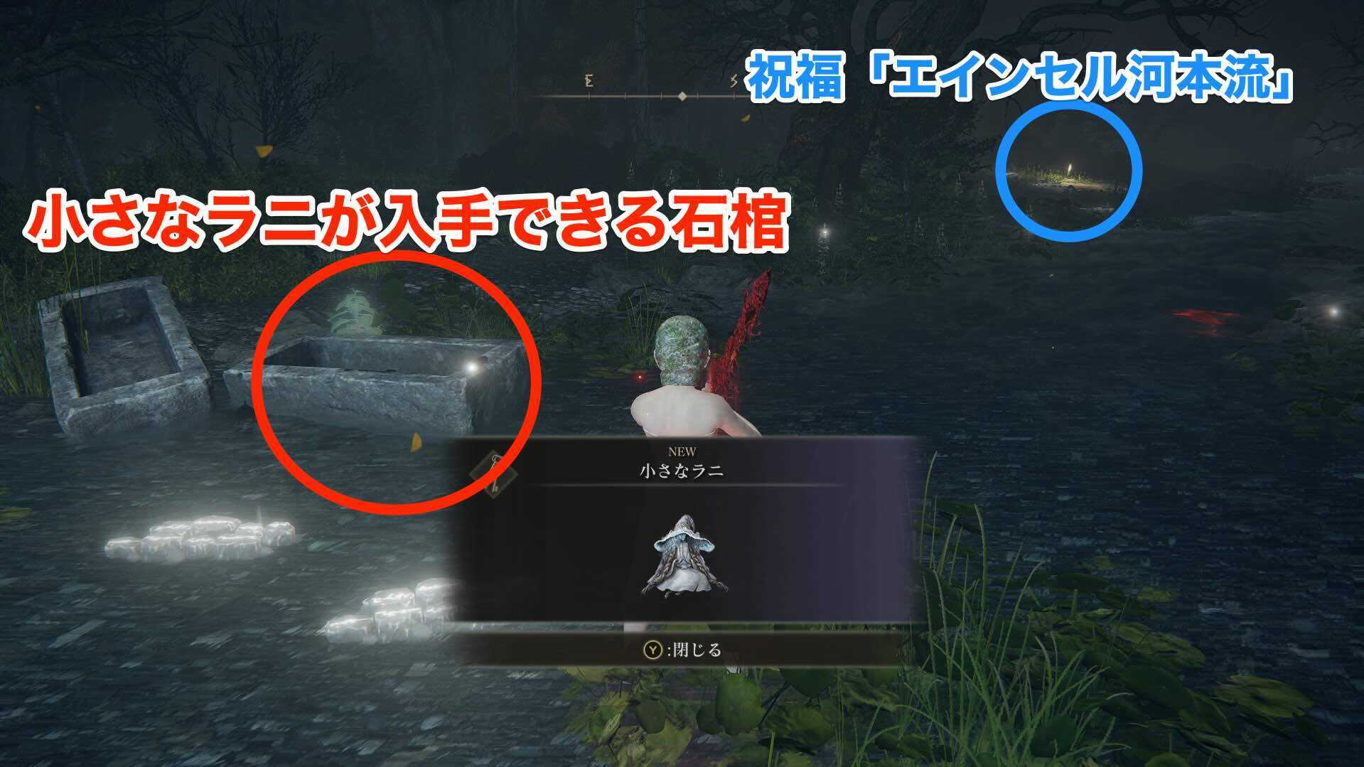 小さなラニが入手できる場所