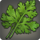 ウォーターミントの画像