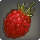 第四次復興用の特注ラズベリーの画像