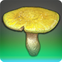 第二次復興用の幻土茸の画像