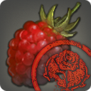 第四次復興用の特注ラズベリー【検】の画像