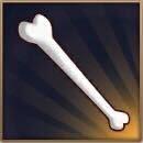 骨の立直棒画像