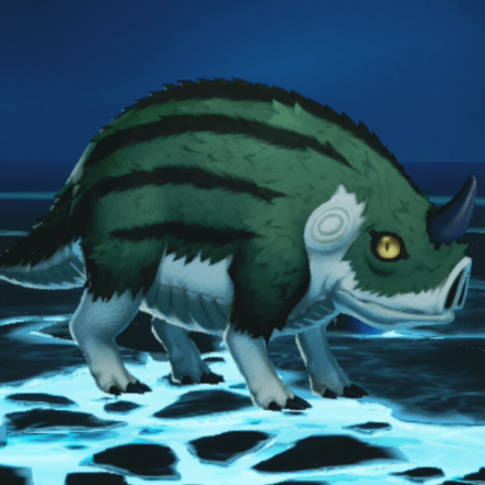 チョトンダ画像