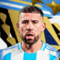 HPニコラス・オタメンディ(06/13)画像