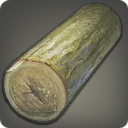 第四次復興用の最高級ホワイトシーダー原木の画像