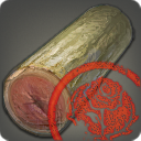 第三次復興用の最高級シーダー原木【検】の画像