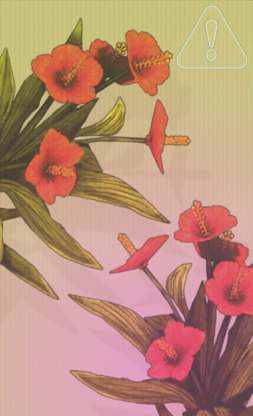 無人島開拓2画像