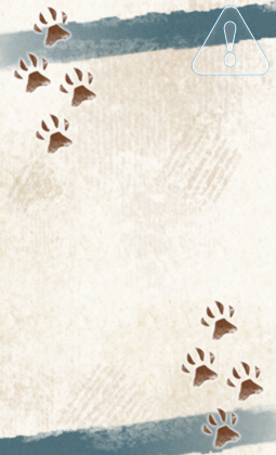 ソーチョーの幻想盤画像