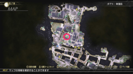 アメジスト調査ポイント