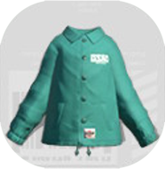 エゾッココーチモエギ画像