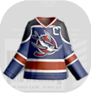 トビウォーズHKユニ画像