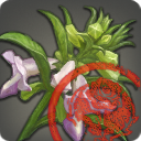 第二次復興用の中級亜麻【検】の画像