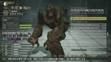 オオヤマツミステータス