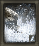 神獣霜踏み画像