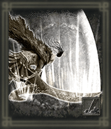 猛獅子斬り画像