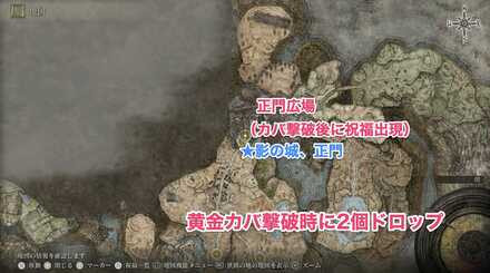 黄金カバ撃破後