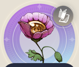 ハニーポピーの画像