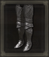 孤牢の足甲画像