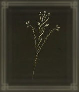 刺し貫く交差樹画像