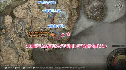 カバを倒して合計2個入手