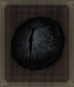 暗闇の瞳膜画像