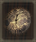 祝福の瞳膜画像