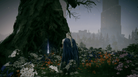 黄金の編み髪の場所