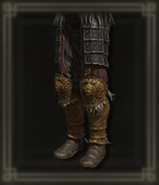 若獅子の足甲画像