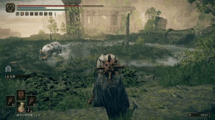 水辺にいる白いカバを倒す