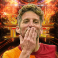 STドリースメルテンス(06/24)画像