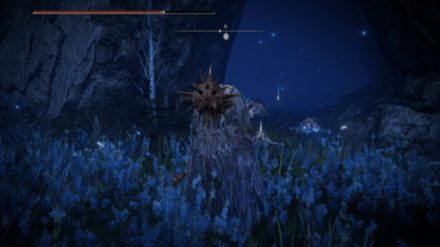 青海岸西から北の小さな洞窟