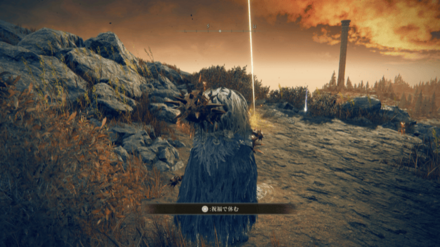 祝福影樹を臨む十字すぐ横