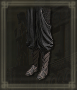 ティエリエのズボン画像