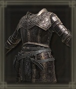 誓約騎士の鎧画像