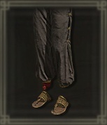 踊り子のズボン画像