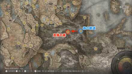 祝福「奈落の森」の場所